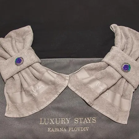 公寓 Luxury Kapana 普罗夫迪夫