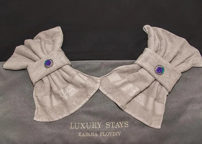 公寓 Luxury Kapana 普罗夫迪夫